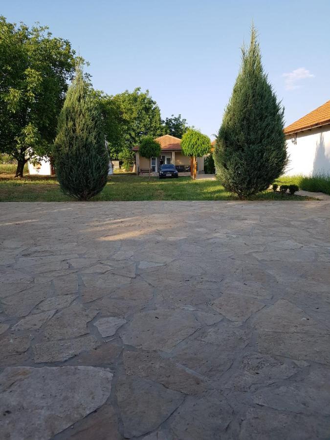 Vila Vikendica Lesic Cortanovci Exteriér fotografie